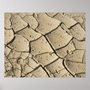 Poster Formation de boue fissurée dans le plancher de la 
