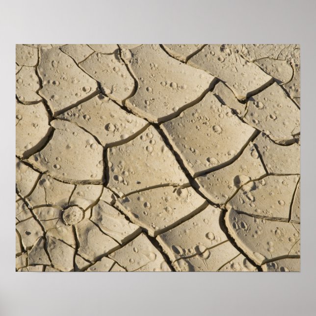 Poster Formation de boue fissurée dans le plancher de la  (Devant)