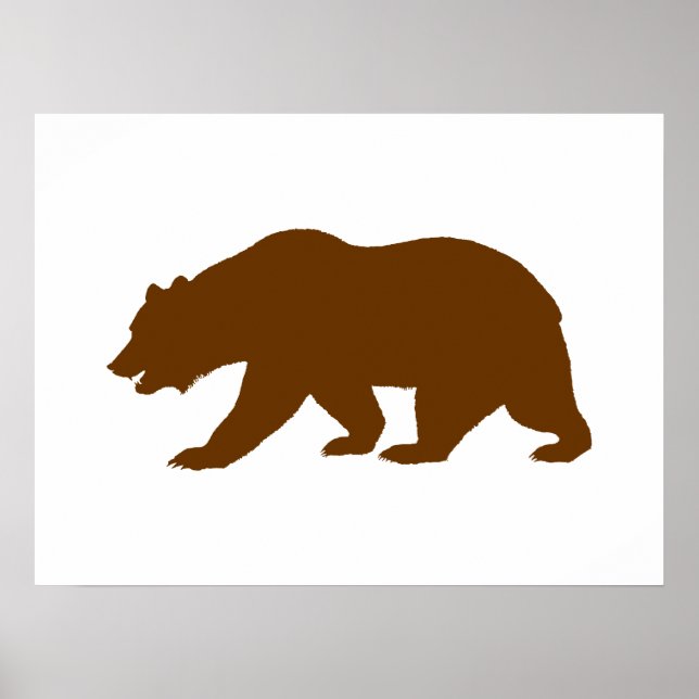 Poster Forme de l'ours (Devant)