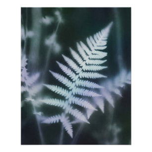 Poster Fougère éthérée - Fougère mystique dans un style f