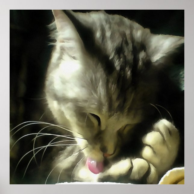 Poster Fourrure Douce Et Douce Et Purée D'Un Chat Gris (Devant)