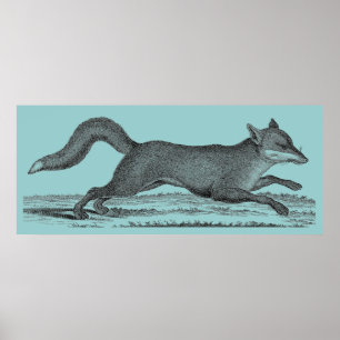 Poster Fox