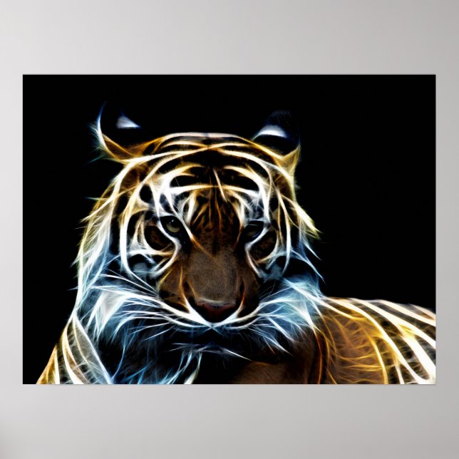 Poster Fractal tiger (Devant)