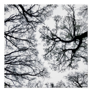 Poster Fractal Zwollenaar