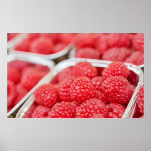 Poster framboises de près