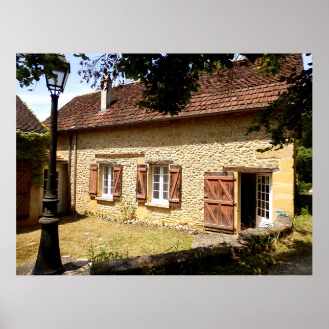 Poster français (Devant)