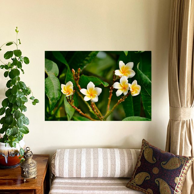 Poster Frangipani jaune (Créateur téléchargé)