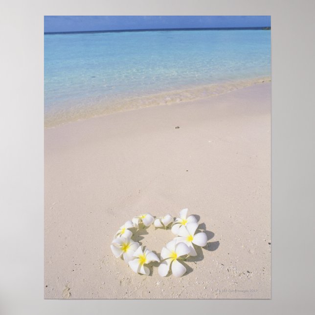 Poster Frangipani sur la plage (Devant)