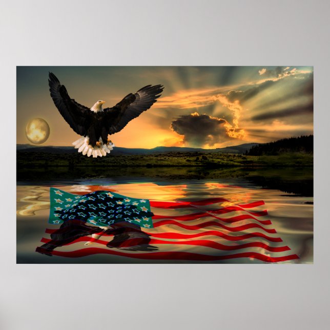 Poster Freedom-Eagle-W-Flag-2010 (Devant)