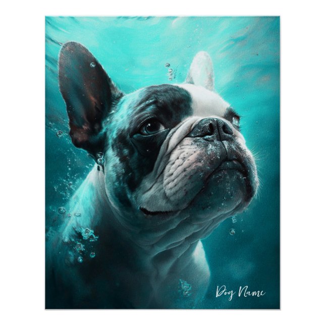 Poster French Bulldog swimming in water 011 (Devant)
