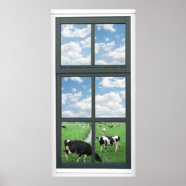 Poster Frisian Holstein Vaches Ferme Faux Fenêtre Voir l' (Devant)