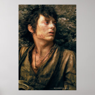 Poster FRODO™ dans Despair