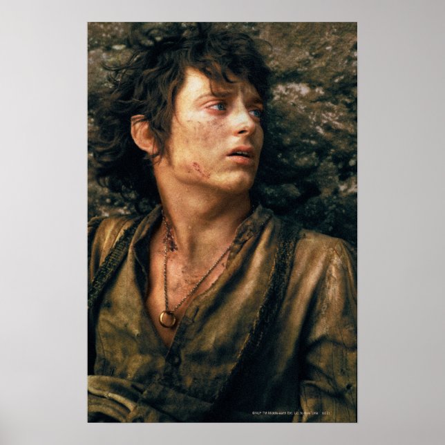 Poster FRODO™ dans Despair (Devant)