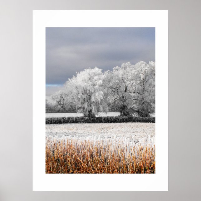 Poster Frosty fields and trees (Devant)