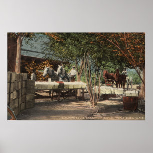 Poster Fruit de chargement au ranch de Longview