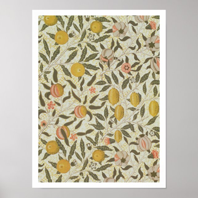 Poster Fruit ou grenate de pomes (Devant)