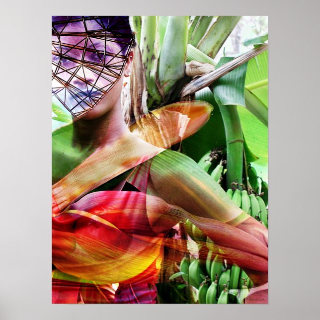 Poster fruits vol terre (Devant)