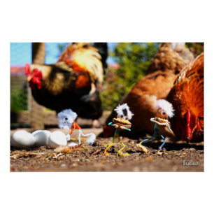 Poster Fubby jouant avec les poules et le coq.