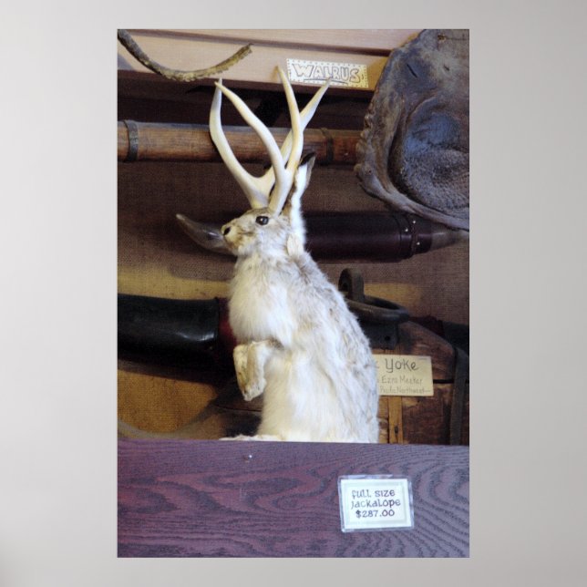 Poster Full Size Jackalope $287.00 (Devant)