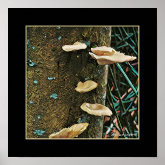 Poster Fungus de l'arbre