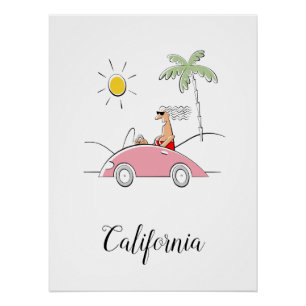 Poster Funky Humoristique California Lady Fancy Car