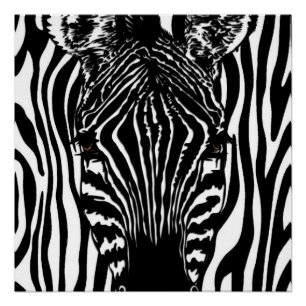 Poster Funky Zebra