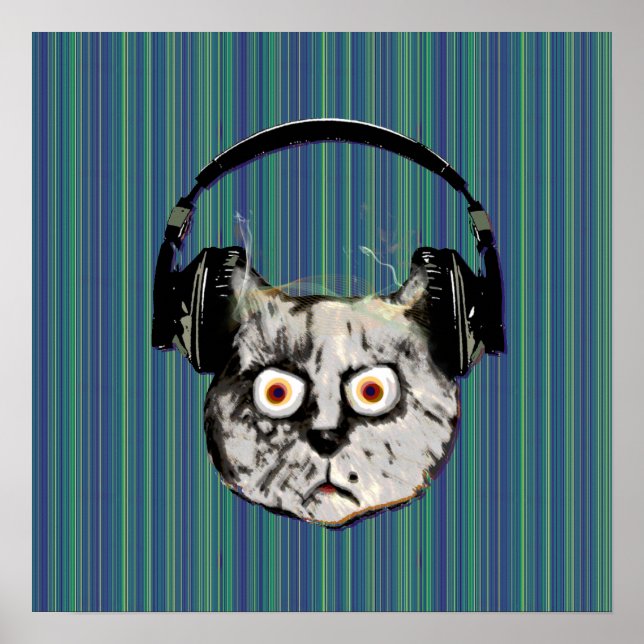 Poster funny DJ cat (Devant)