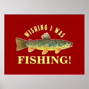 Poster Funny Fly Fishing Truite Photo