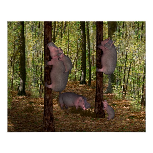 Poster Funny Hippopotames Koala-Wannabe (Devant)