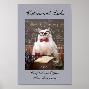 Poster Funny Lab Cat CFO or Chief Feline Officer Picture