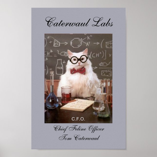 Poster Funny Lab Cat CFO or Chief Feline Officer Picture (Devant)