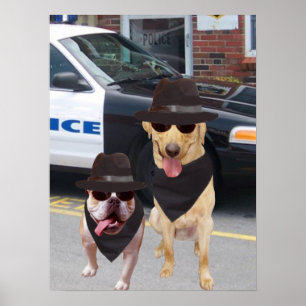 Poster Funny Lab et Bull Dog
