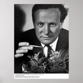 Poster G. Ledyard Stebbins, UC Davis, 1966