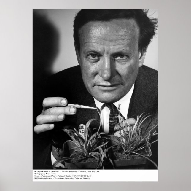 Poster G. Ledyard Stebbins, UC Davis, 1966 (Devant)