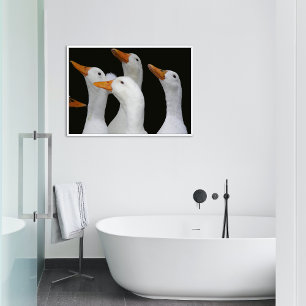 Poster Gaggle de canards blancs brillant