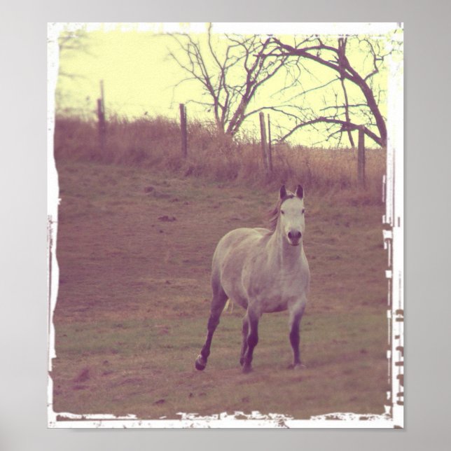 Poster Galerie Grey (Devant)