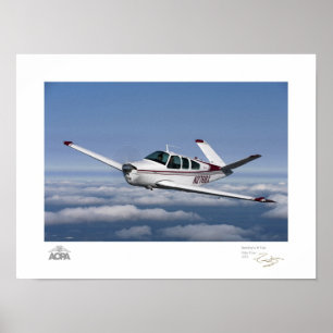 Poster Galerie V Tail de Smitty