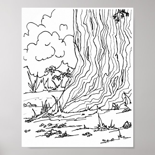 Poster - Galets sous un arbre (Devant)