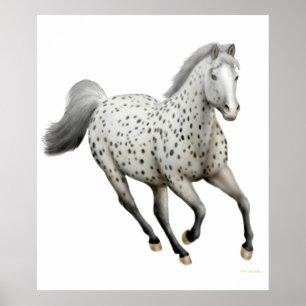 Poster Galop Leopard Appaloosa Horse Imprimer
