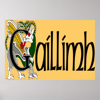 Poster Galway (gaélique)