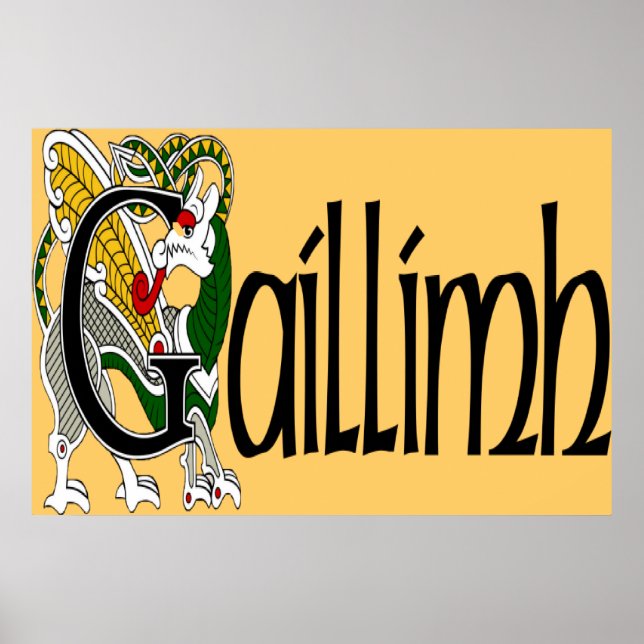 Poster Galway (gaélique) (Devant)