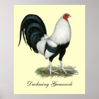 Gamecock argenté