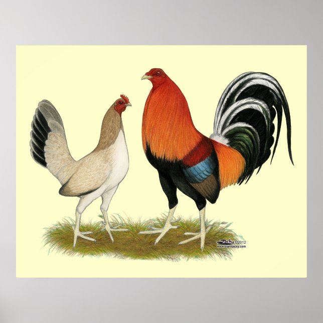 Poster Gamefowl wheatens (Devant)