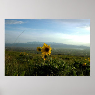 Poster Gamme de montagne de fleur et de Wellsville