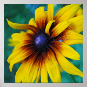 Poster Garde de la beauté