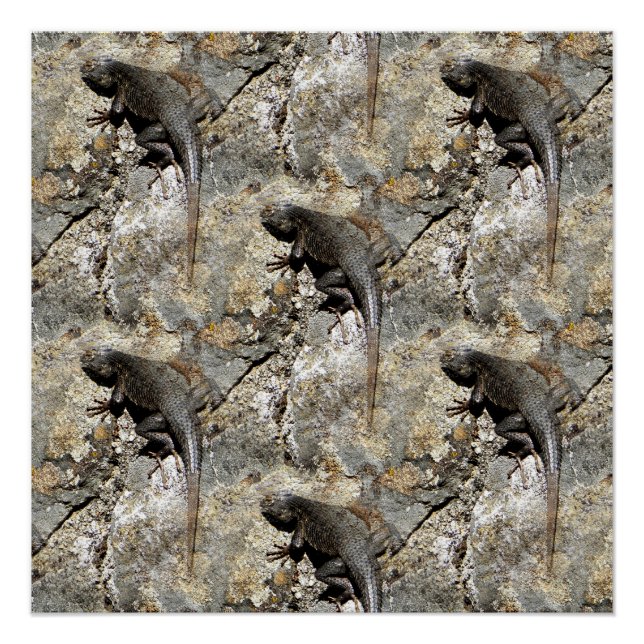 Poster Gardez droite sur l'escalade.... (Devant)