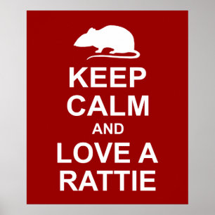 Poster Gardez l'affiche de l'amant calme de rat