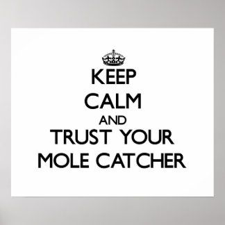 Poster Gardez le calme et faites confiance à votre Mole C