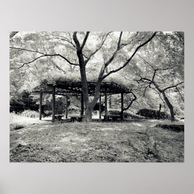 Poster Gazebo under the trees (Devant)