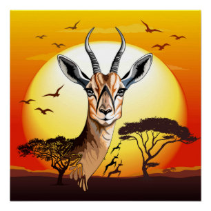 Poster Gazelle Antelope africaine animal sauvage